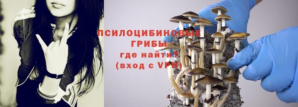mix Алексин
