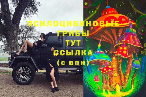 стафф Алзамай