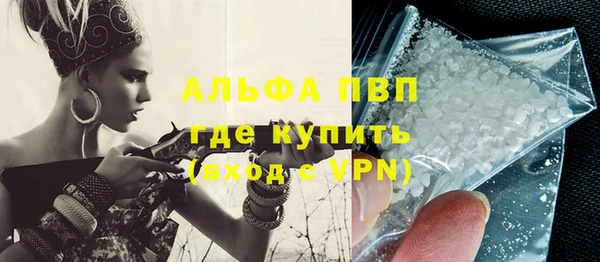 стафф Алзамай