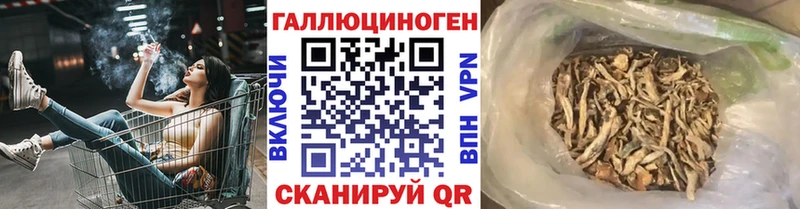 Галлюциногенные грибы Psilocybine cubensis  даркнет состав  Калтан  мега сайт 